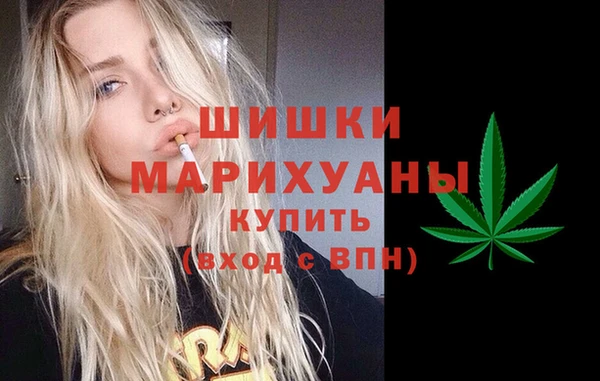 хмурый Богородск