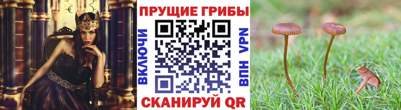 Псилоцибиновые грибы GOLDEN TEACHER Ульяновск